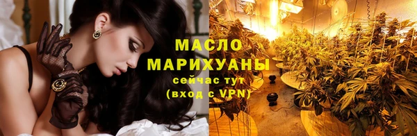 хмурый Ельня